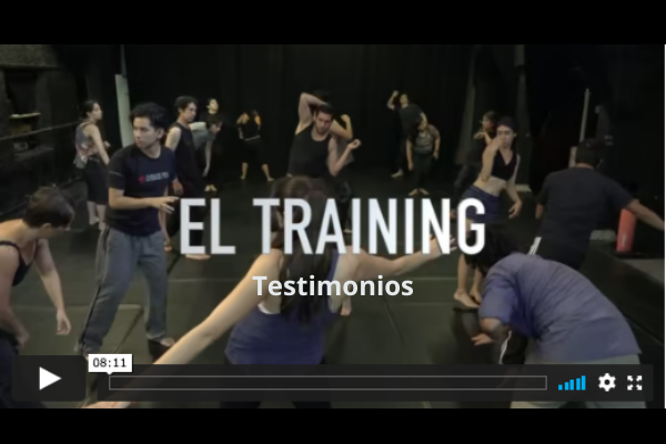 TESTIMONIOS SOBRE EL TRAINING